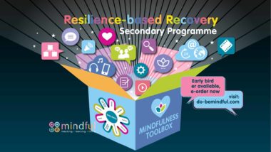 Secondary Resilience Programme